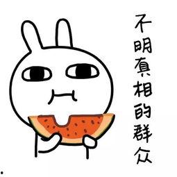 娱乐吃瓜酱果然真诚,揭秘娱乐圈真诚背后的故事